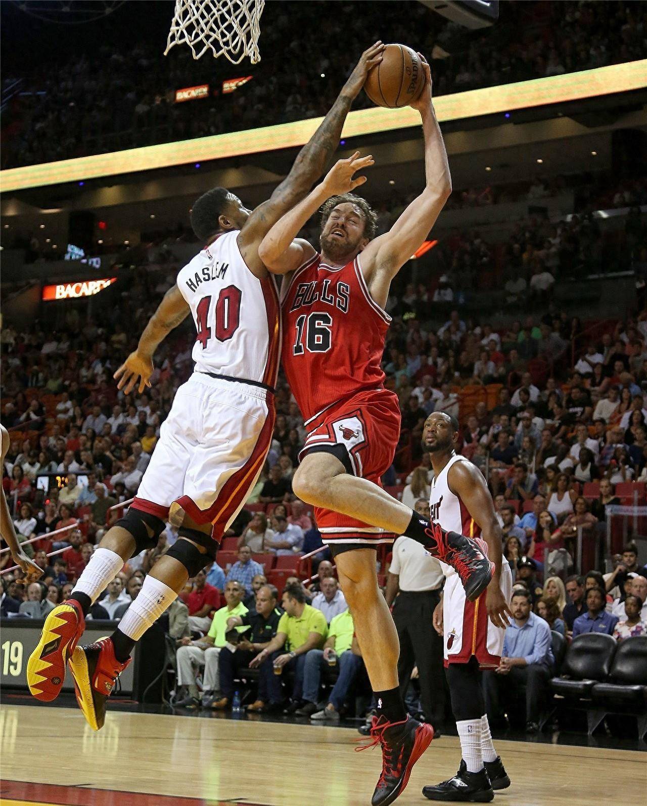 他们是球队 他们是球队