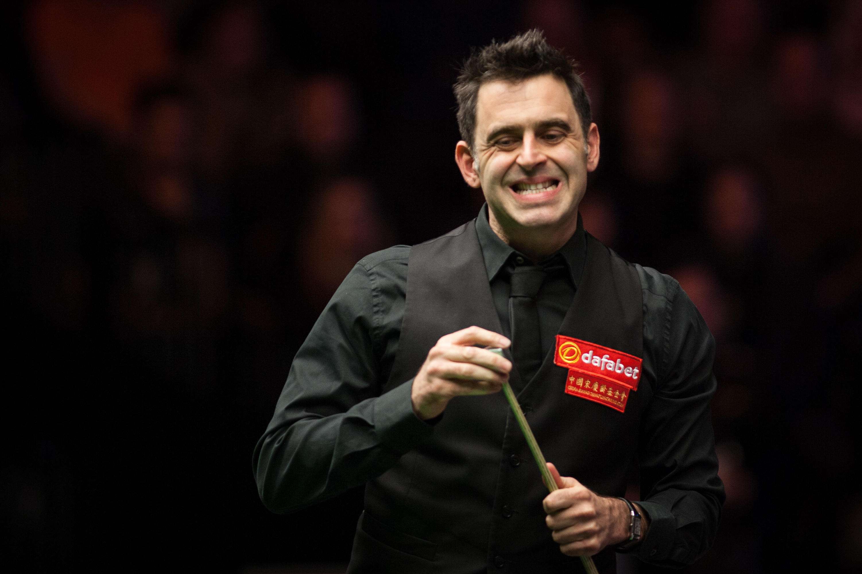 专业的培养 专业的培养