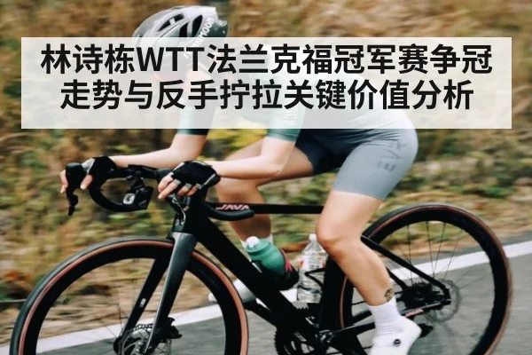 林诗栋WTT法兰克福冠军赛争冠走势与反手拧拉关键价值分析